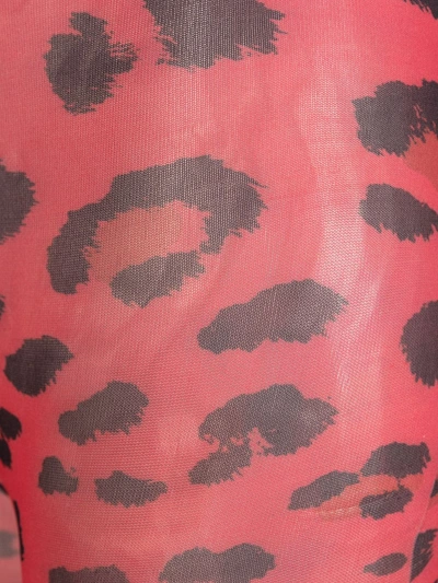 Shop Philipp Plein Leopard Print Tights In Red