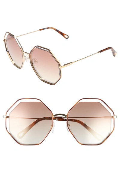 Shop Chloé Geo 58mm Sunglasses In Havana/ Bronze