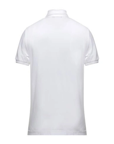 Shop Dolce & Gabbana Man Polo Shirt White Size 50 Cotton, Pvc - Polyvinyl Chloride, Polyurethane, Elastan