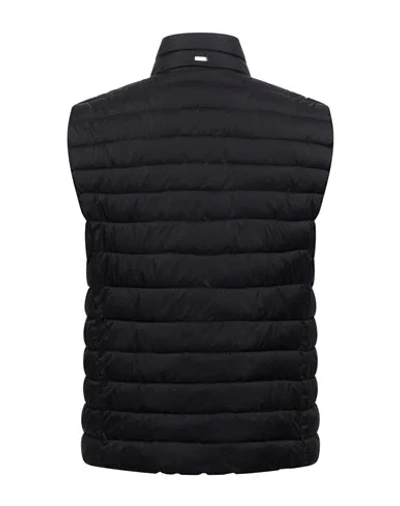 Herno Synthetic Padding In Black