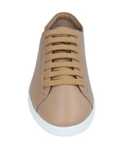 Dolce & Gabbana Sneakers In Light Brown