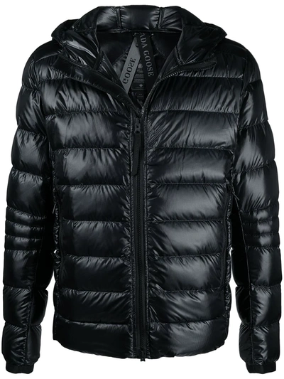 Shop Canada Goose Padded Hooded Jacket In Black