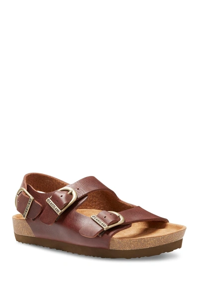 Shop Eastland Charlestown Buckle Sandal In Walnut