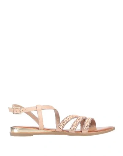 Gioseppo Sandals In Pink |