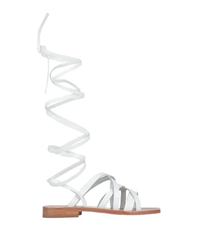 Shop Liviana Conti Sandals In White