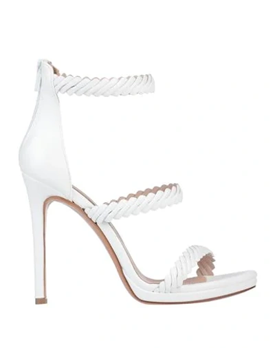 Shop Albano Sandals In White