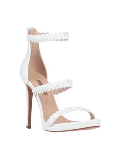 Shop Albano Sandals In White