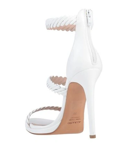 Shop Albano Sandals In White