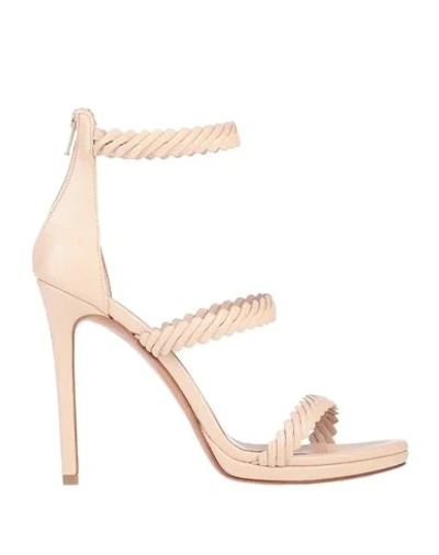 Shop Albano Sandals In Light Pink