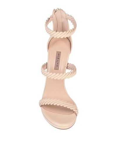 Shop Albano Sandals In Light Pink