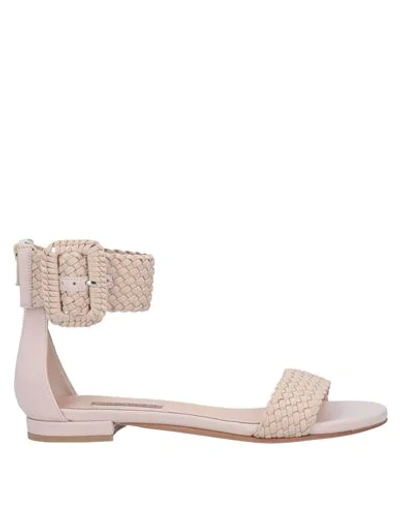 Shop Albano Sandals In Light Pink