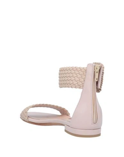 Shop Albano Sandals In Light Pink