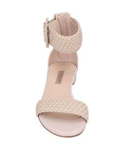 Shop Albano Sandals In Light Pink