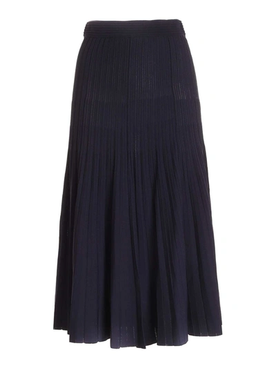 Shop P.a.r.o.s.h Pleated Skirt In Blue