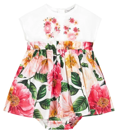 Shop Dolce & Gabbana Baby Floral Cotton Dress And Bloomers Set In Pink