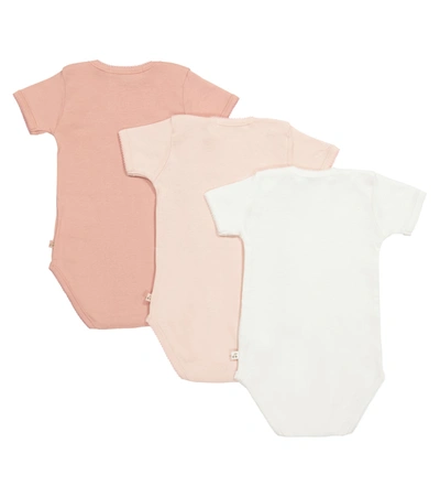 Bonpoint Baby Set Of 3 Cotton Bodysuits In Pink
