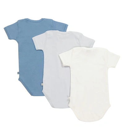 Shop Bonpoint Baby Set Of 3 Cotton Bodysuits In Blue