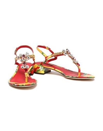 Shop Dolce & Gabbana Toe Strap Sandals In Yellow