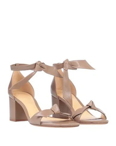 Alexandre Birman Sandals In Beige
