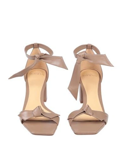 Alexandre Birman Sandals In Beige