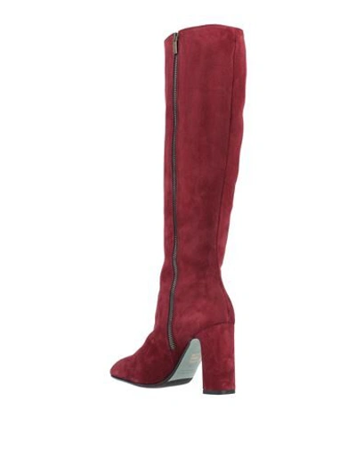 Shop Paola D'arcano Knee Boots In Maroon