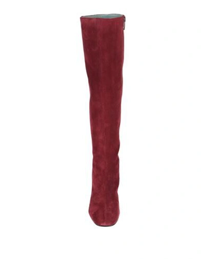 Shop Paola D'arcano Knee Boots In Maroon
