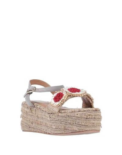 Coral Blue Sandals In Beige