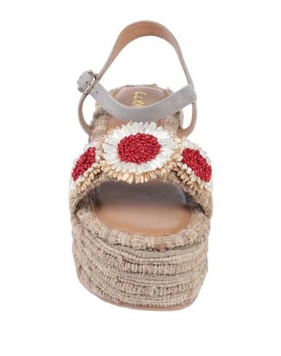 Coral Blue Sandals In Beige