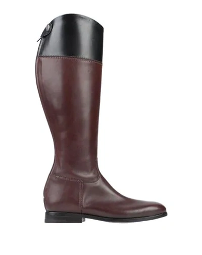 Shop Alberto Fasciani Knee Boots In Dark Brown