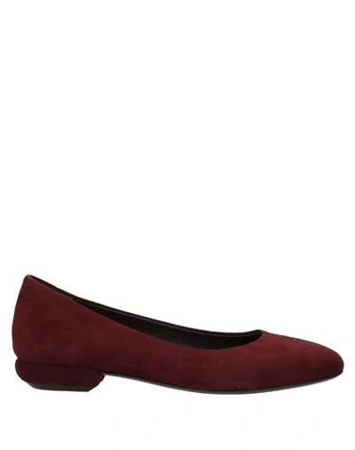 Shop Magli By Bruno Magli Ballet Flats In Deep Purple