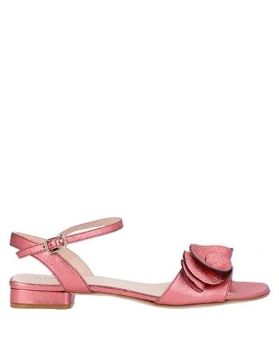 Shop Status Sandals In Coral