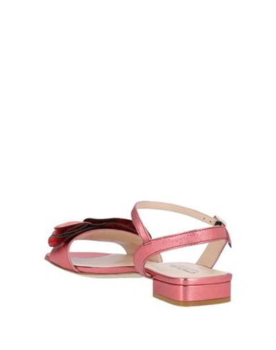 Shop Status Sandals In Coral