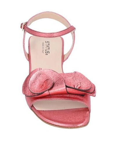 Shop Status Sandals In Coral