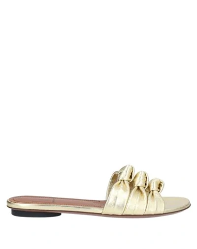 Shop L'autre Chose L' Autre Chose Woman Sandals Gold Size 6 Soft Leather