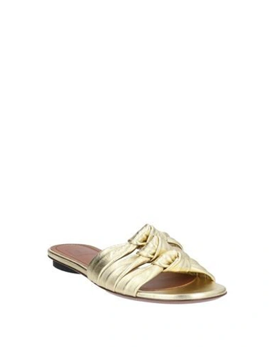 Shop L'autre Chose L' Autre Chose Woman Sandals Gold Size 6 Soft Leather