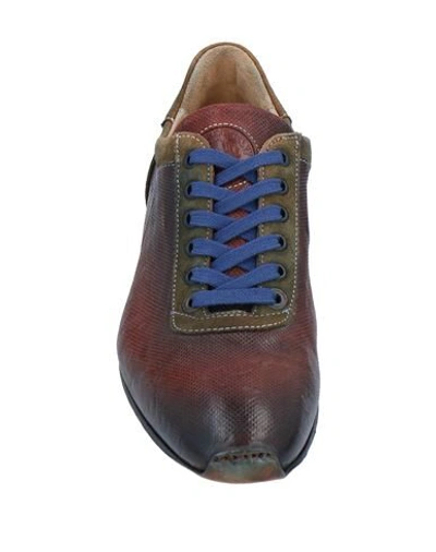 Shop Maledetti Toscani Dal 1848 1848 Lace-up Shoes In Cocoa