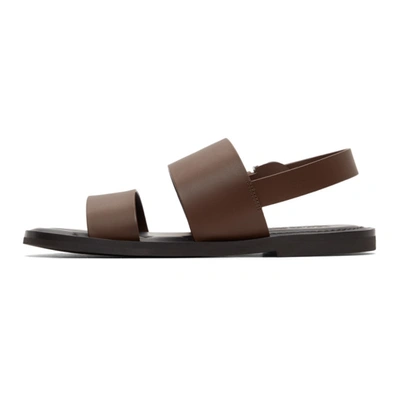 Shop Ferragamo Brown & Black Sirius Sandals In Cioccolato