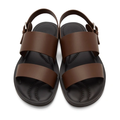 Shop Ferragamo Brown & Black Sirius Sandals In Cioccolato