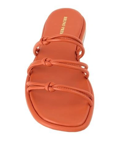 Shop Bruno Premi Woman Sandals Orange Size 8 Goat Skin
