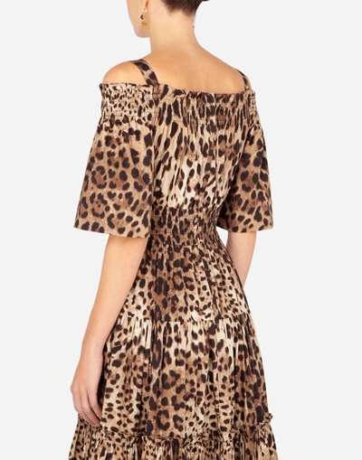 Dolce & Gabbana Long Leopard-print Poplin Dress In Multicolor