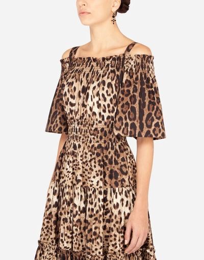 Dolce & Gabbana Long Leopard-print Poplin Dress In Multicolor