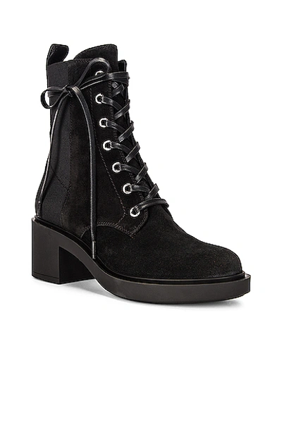 Shop Gianvito Rossi Suede Lace Up Booties In Black & Black