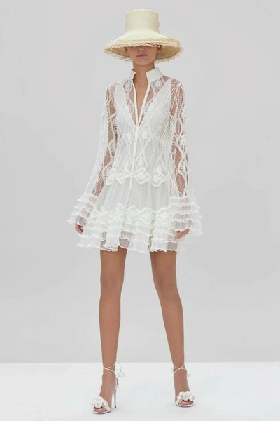 Shop Alexis Perlina Mini Dress