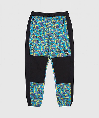 Shop The North Face Black Box Track Pant In Multi