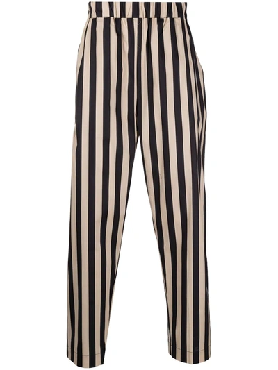 Shop Laneus Stripe-print Cotton Trousers In Black