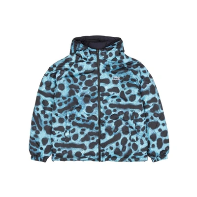 Shop Lacoste X National Geographic Blouson (blue Frog)