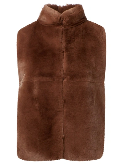 Shop Peserico Brown Wool Vest