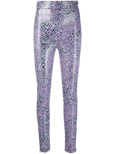 Shop Versace Leopard-print Leggings In Purple
