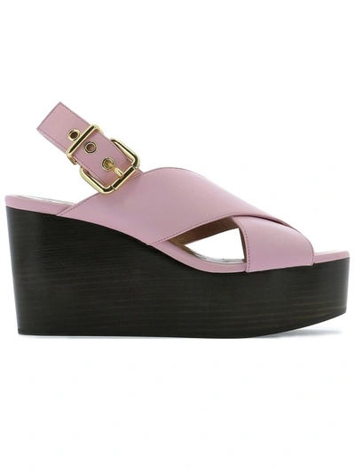 Shop Marni Pink Leather Sandals