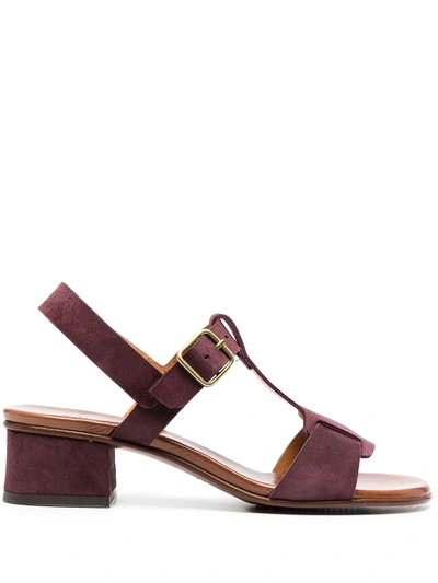 Shop Chie Mihara Quaco Suede Sandals In Purple
